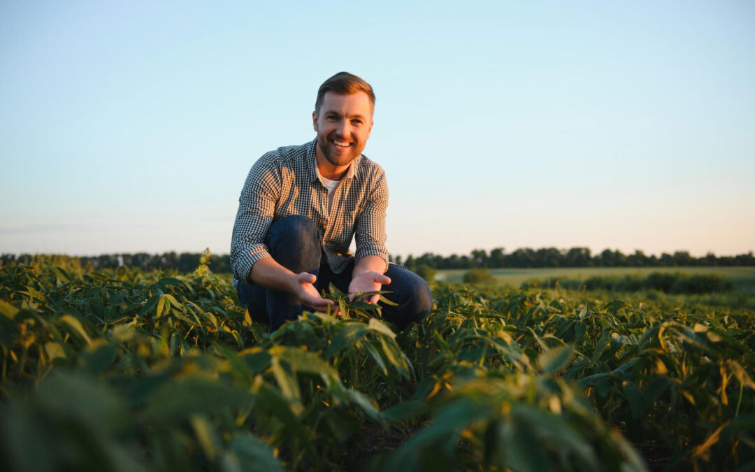 Proprietário agrícola inspecionando um campo de soja para ilustrar conteúdo sobre Marketing Agro