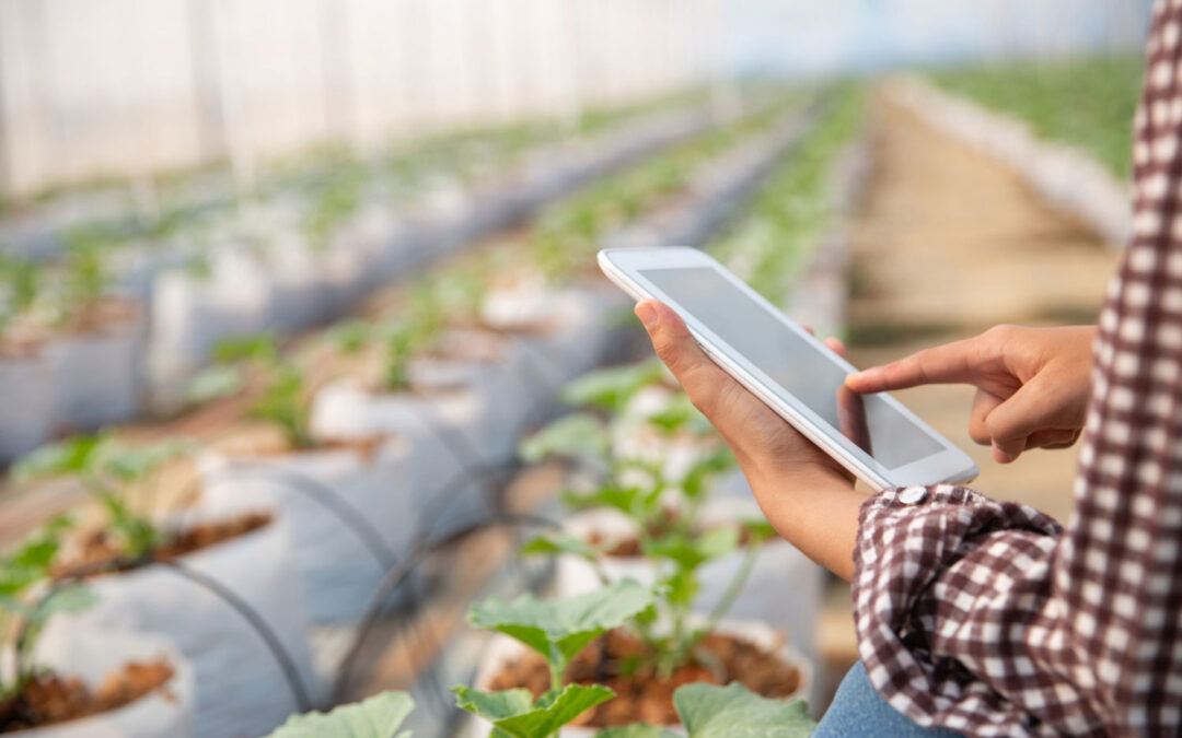Marketing digital agro é uma área emergente na era digital, aponta pesquisa