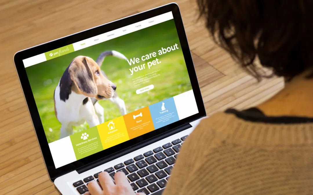 Design Centrado no Usuário: Tendências para sites modernos